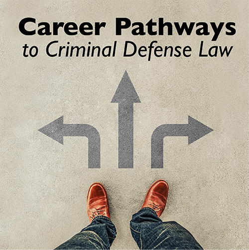 Career Pathways - Law Students & Lawyers